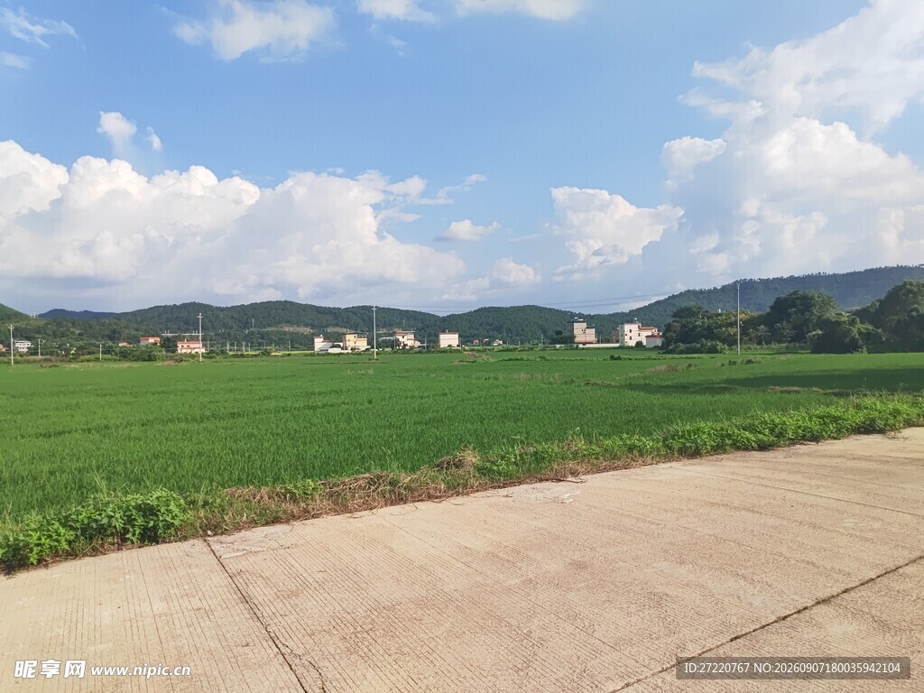 乡村田野风景