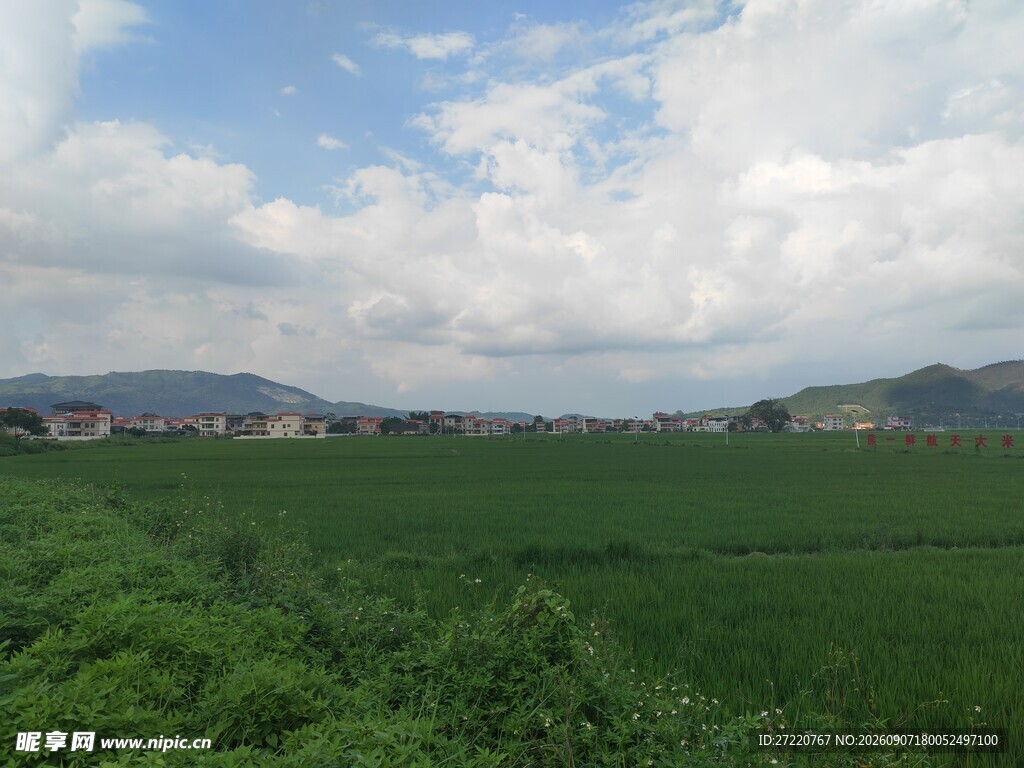田园绿野风光