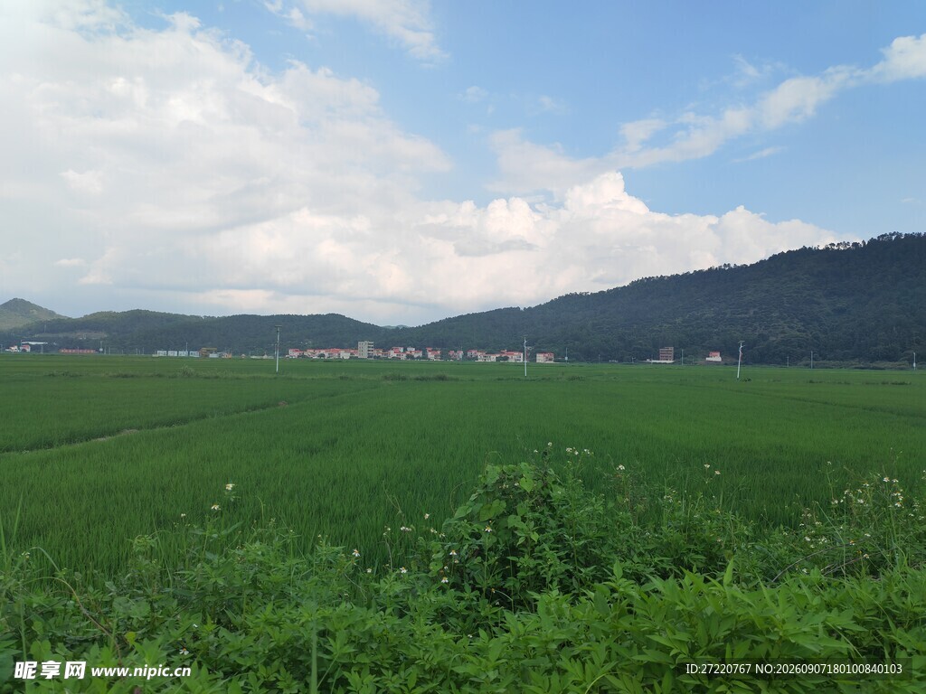 广袤绿野与远山蓝天