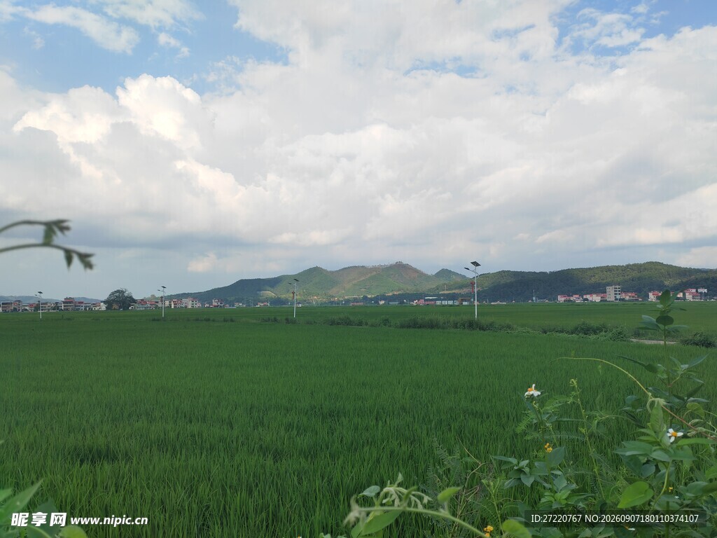 田园绿野风光