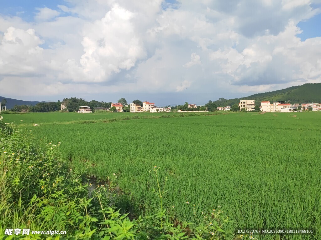 田园绿野风光