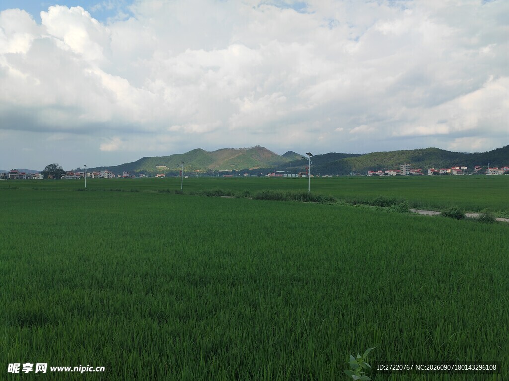 广袤绿野与远处山峦