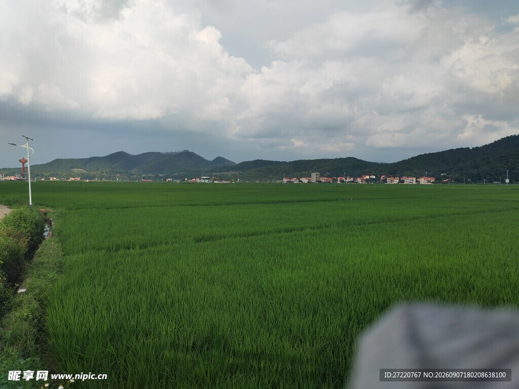 广袤绿野间的田园风光