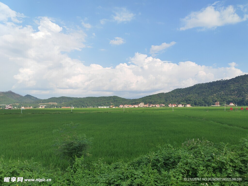 绿野蓝天间的乡村美景