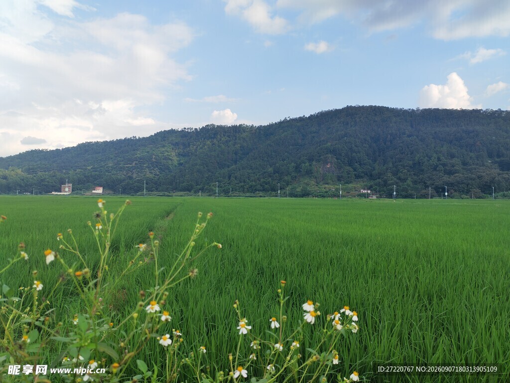 绿野青山间的田园风光