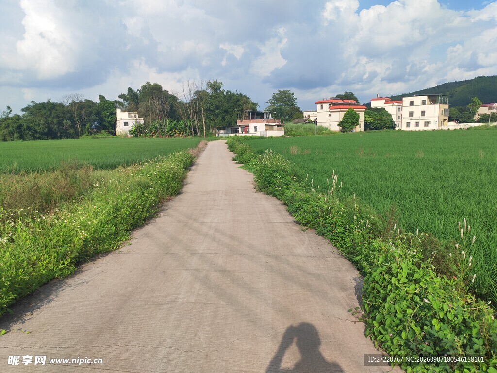 乡间小路 田园风光