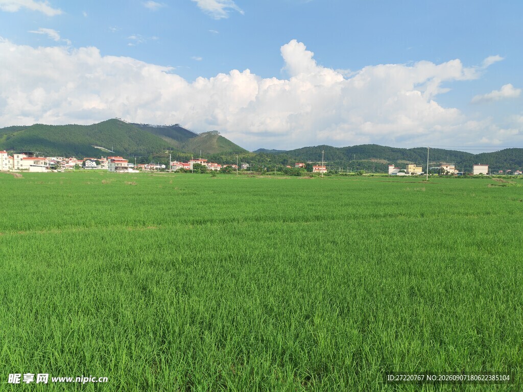 广袤绿野 远山白云相伴