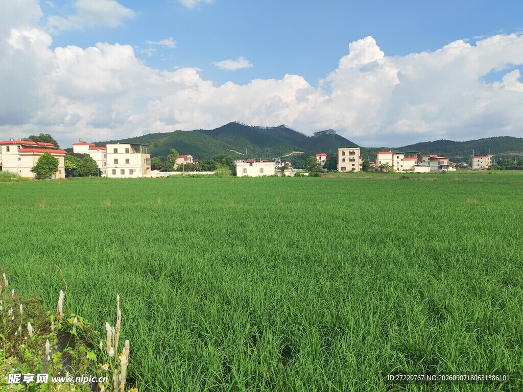 广袤绿野与远处村落风光