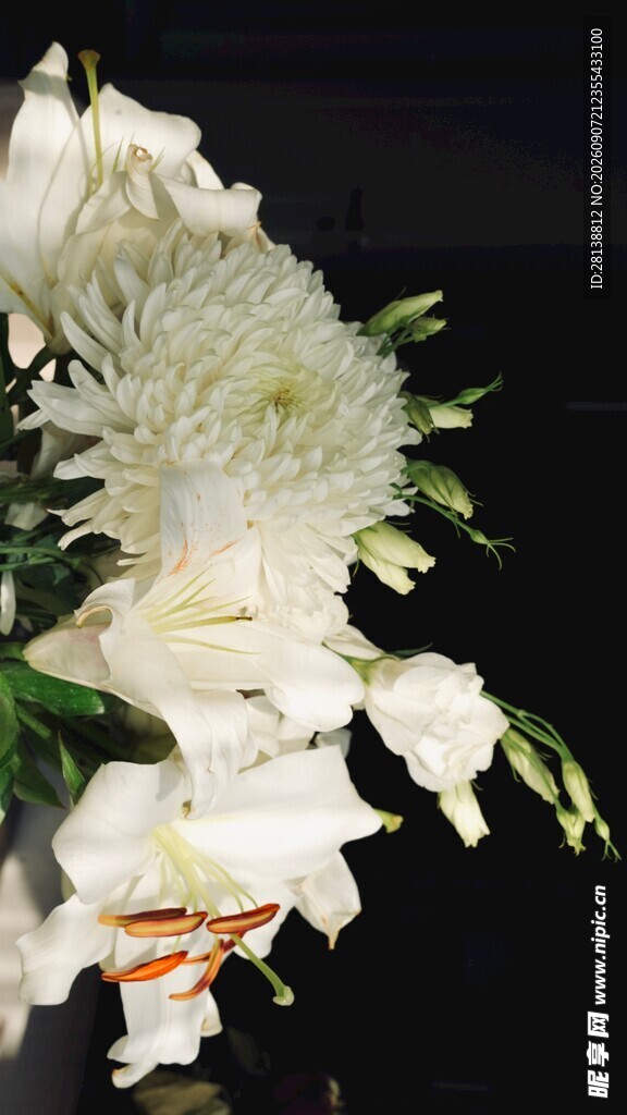 白色菊花花束