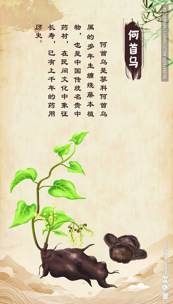 水墨风绿植与砚台意境图