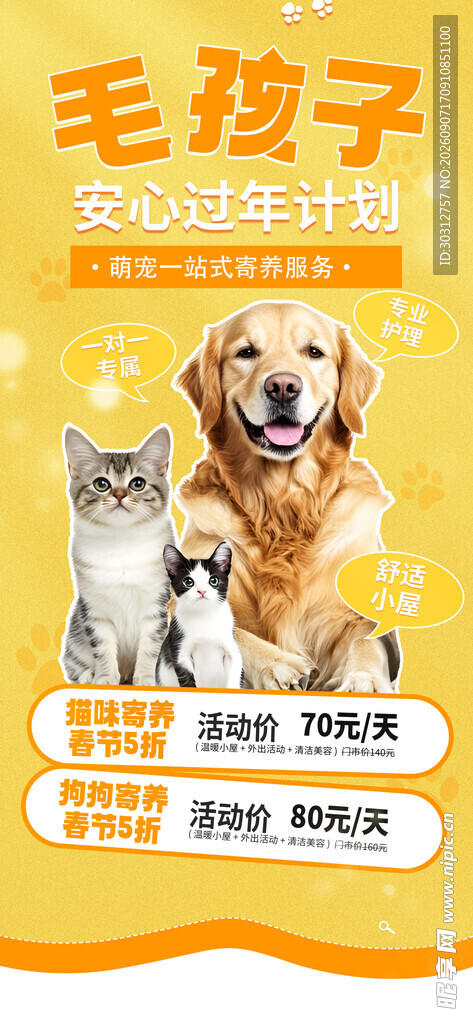 宠物  