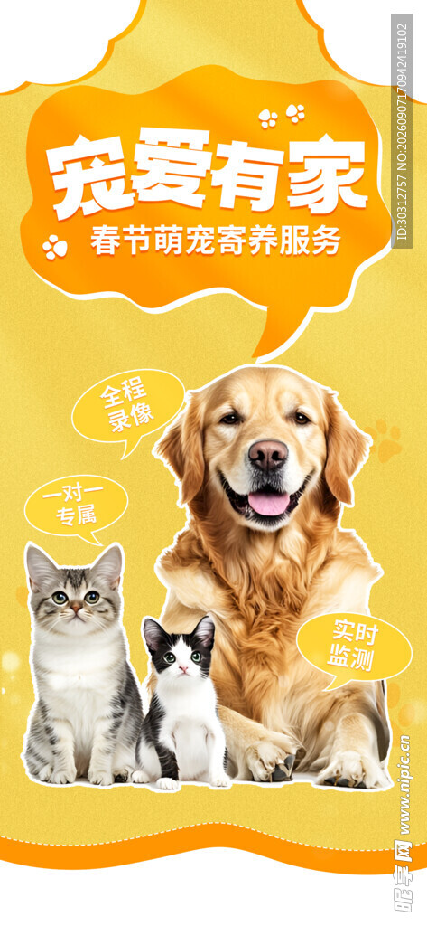 宠物 