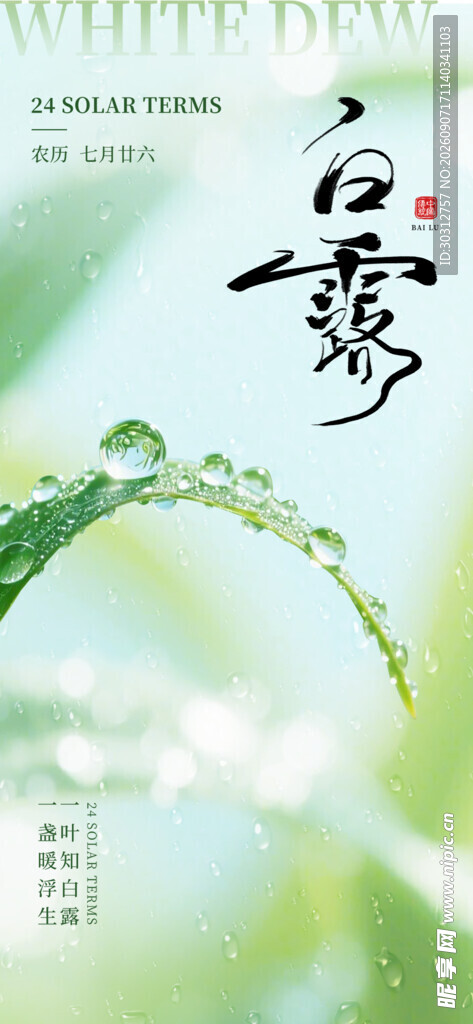 白露时节草尖露珠美景