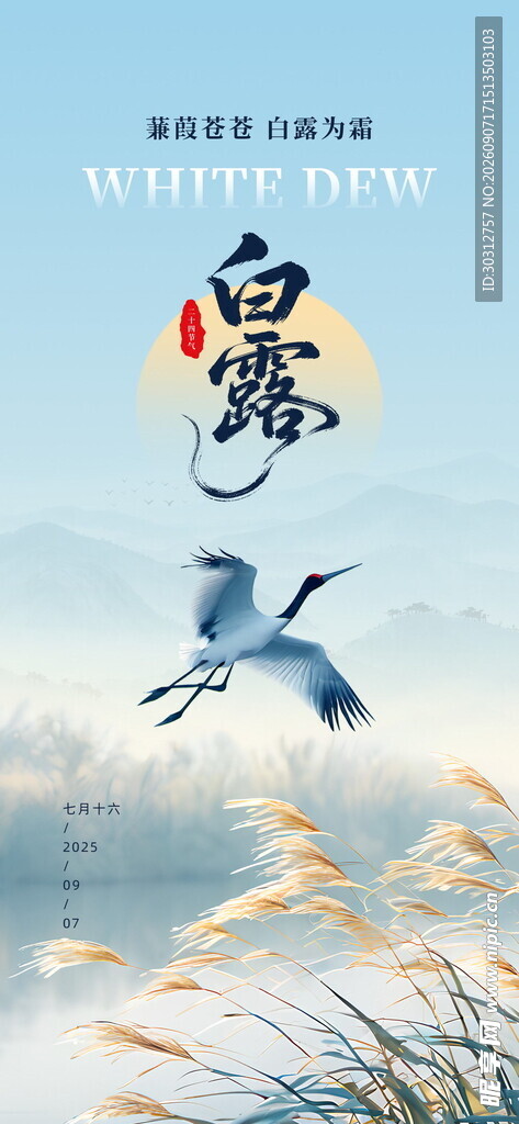 白露  