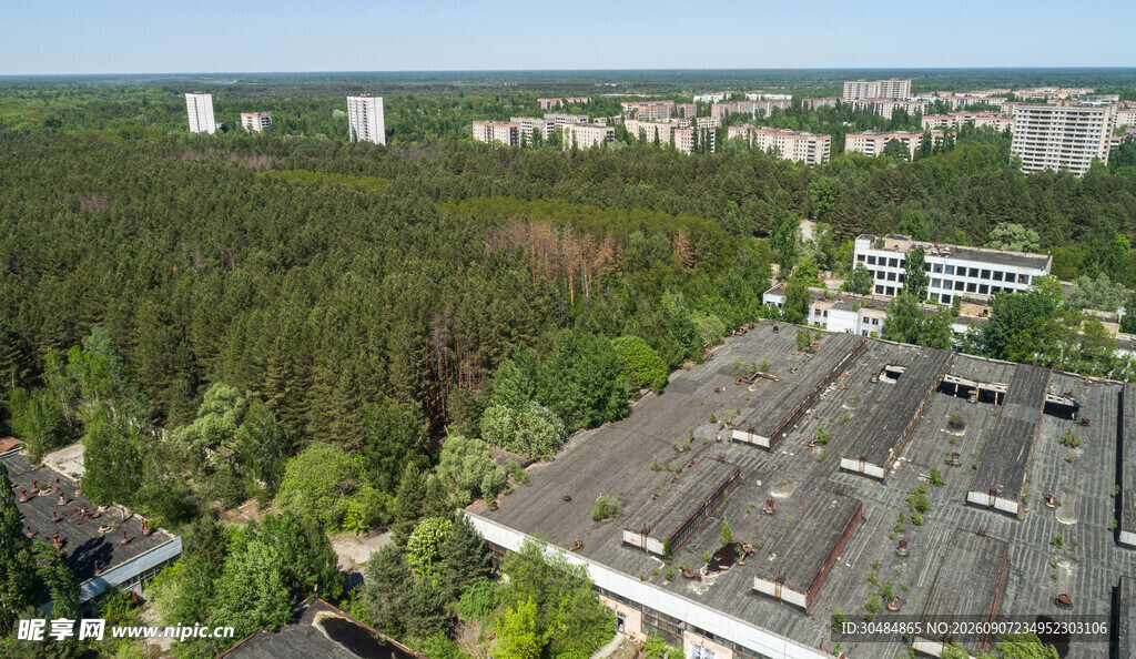 城市边缘的森林与建筑景观