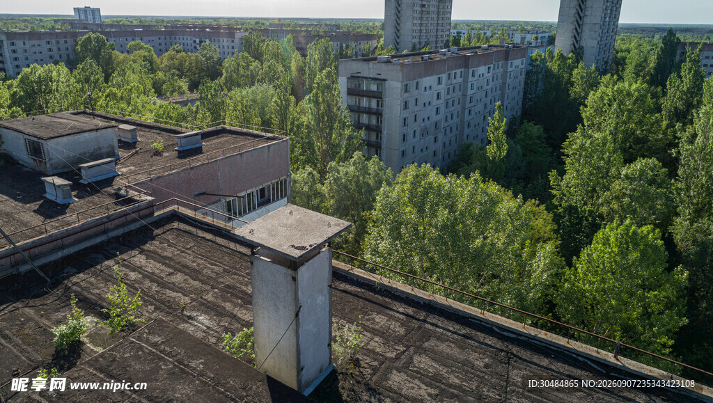 废弃屋顶旁的茂密树林