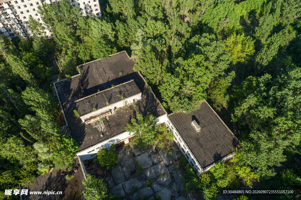 林间静谧小屋