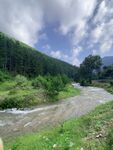 山间溪流旁的葱郁景致