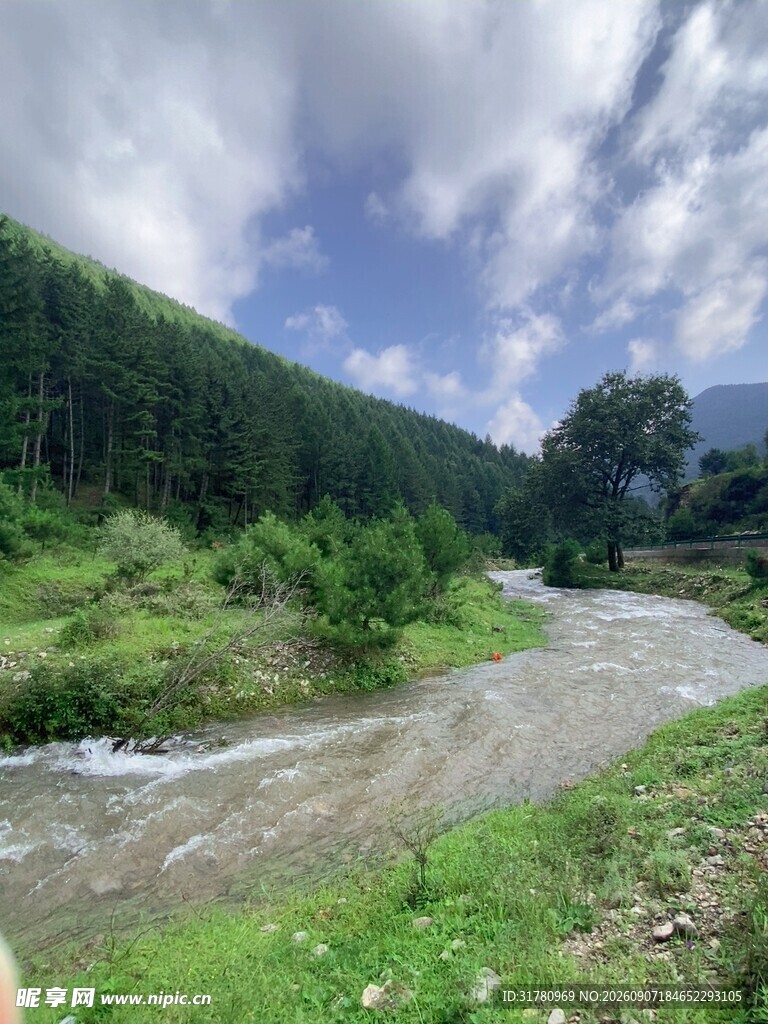 山间溪流旁的葱郁景致