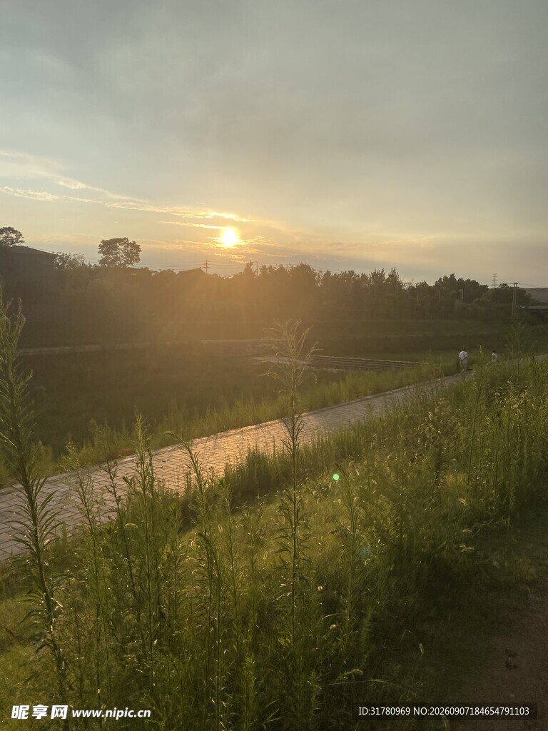 夕阳下的田野与蜿蜒小路