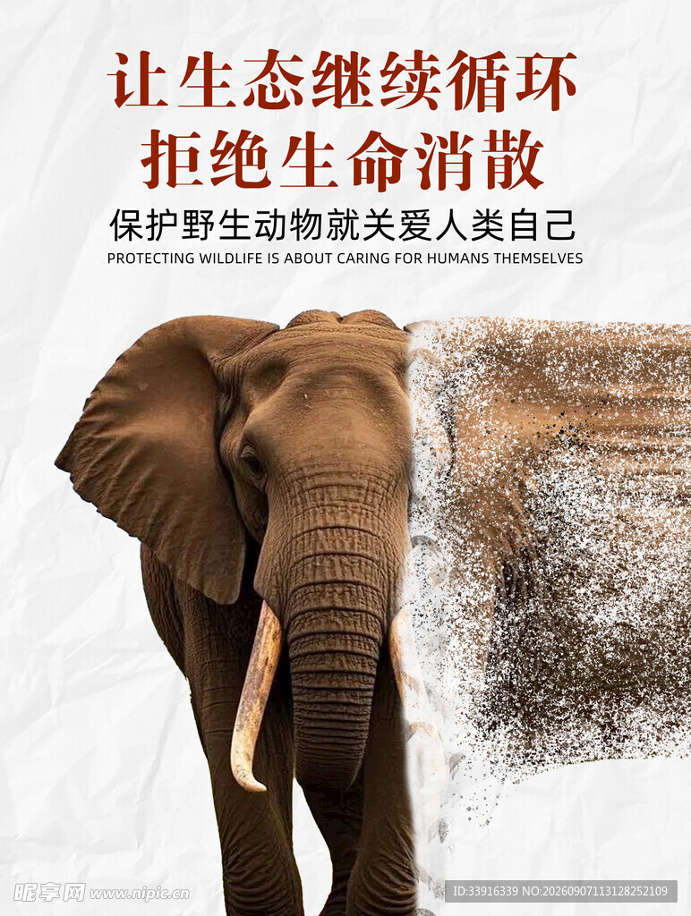 保护野生动物