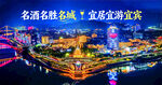 宜宾璀璨夜景海报