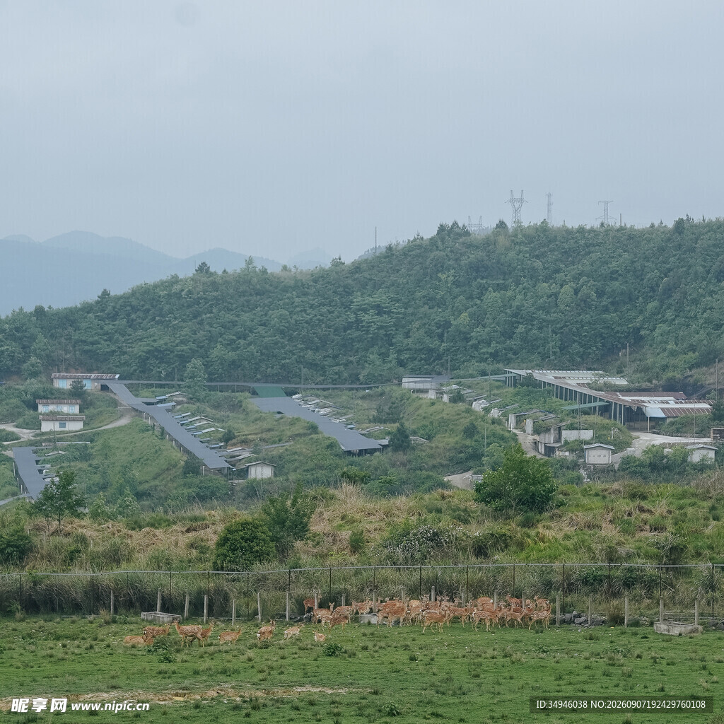 乡村绿野风光美景