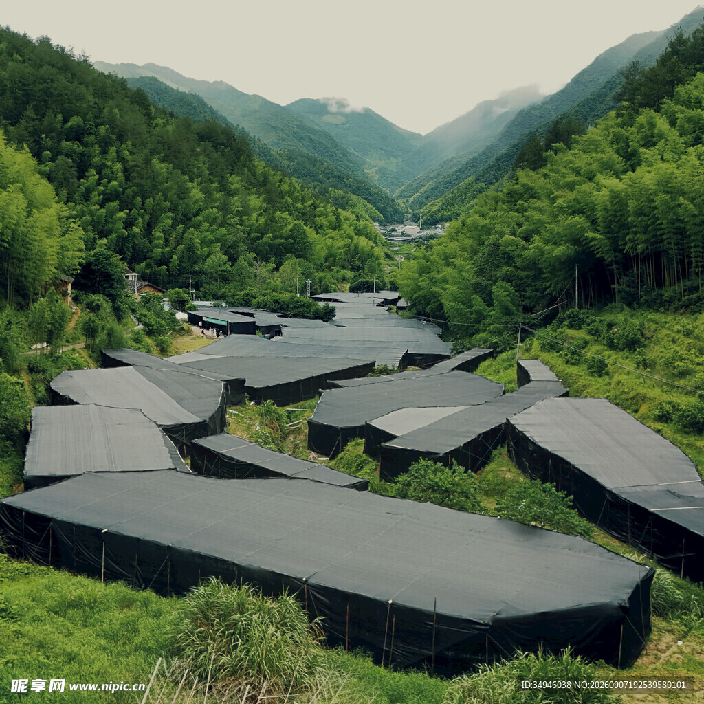 山间错落有致的黑色建筑