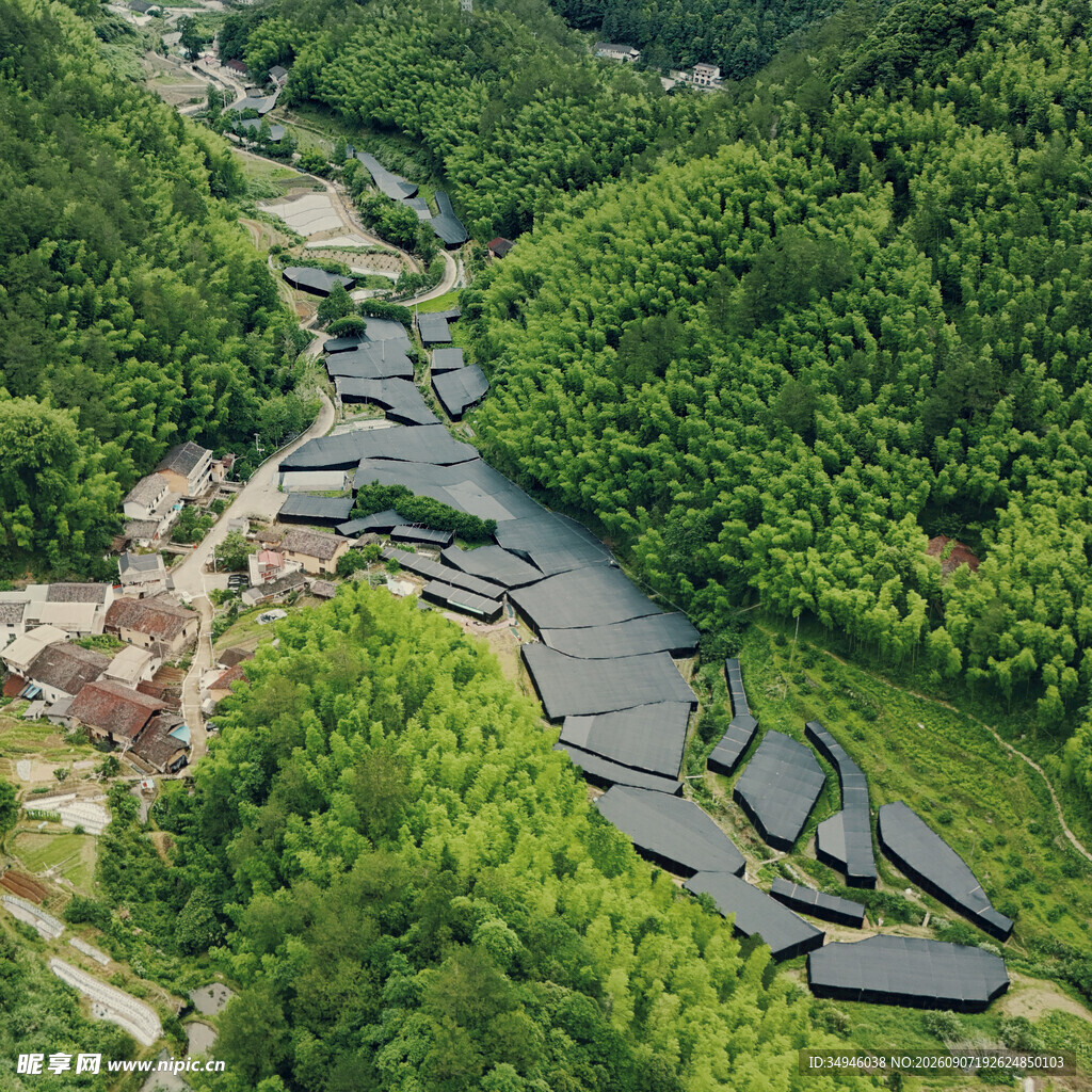 山间蜿蜒河流与葱郁植被