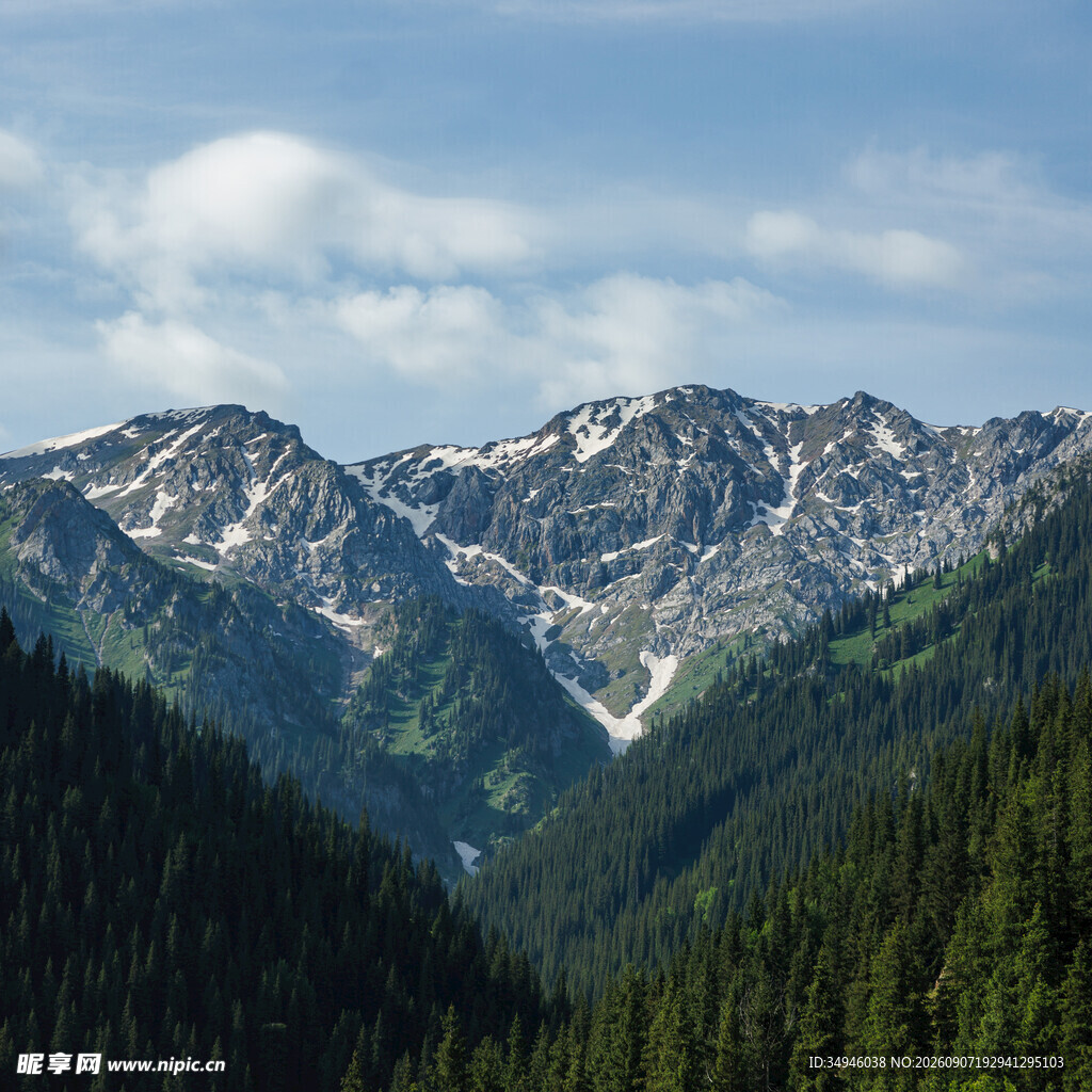 壮丽山峦与葱郁森林景观