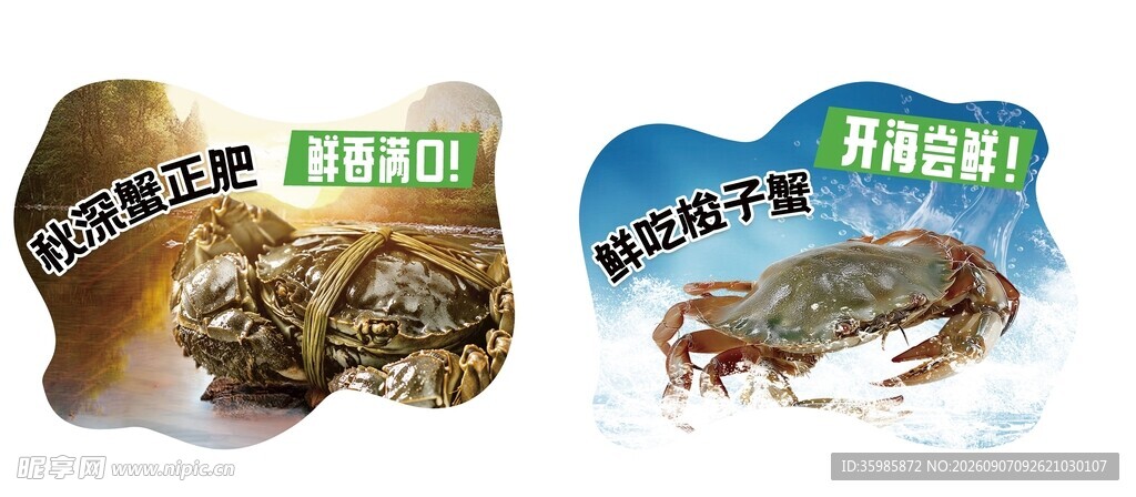 海鲜水产吊牌 螃蟹贝类生鲜产品