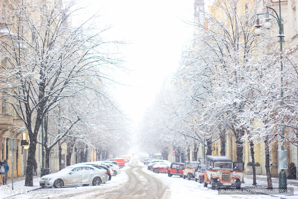 冬日雪后街道的静谧景象
