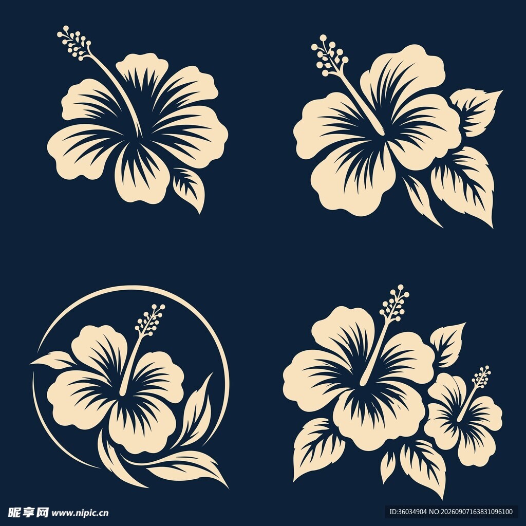 扶桑花图案集