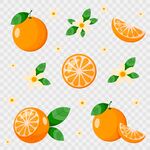 橙子插画素材