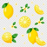 柠檬插画素材