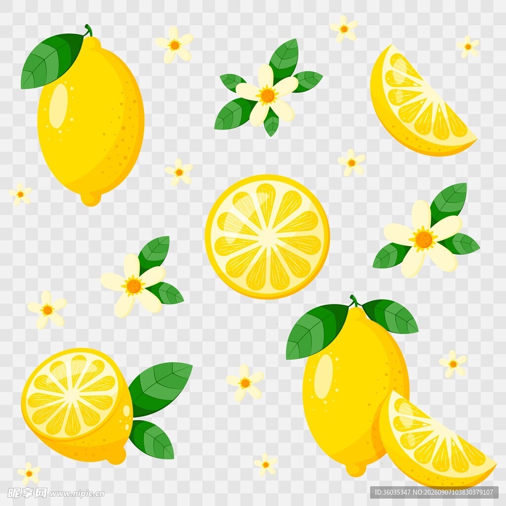 柠檬插画素材