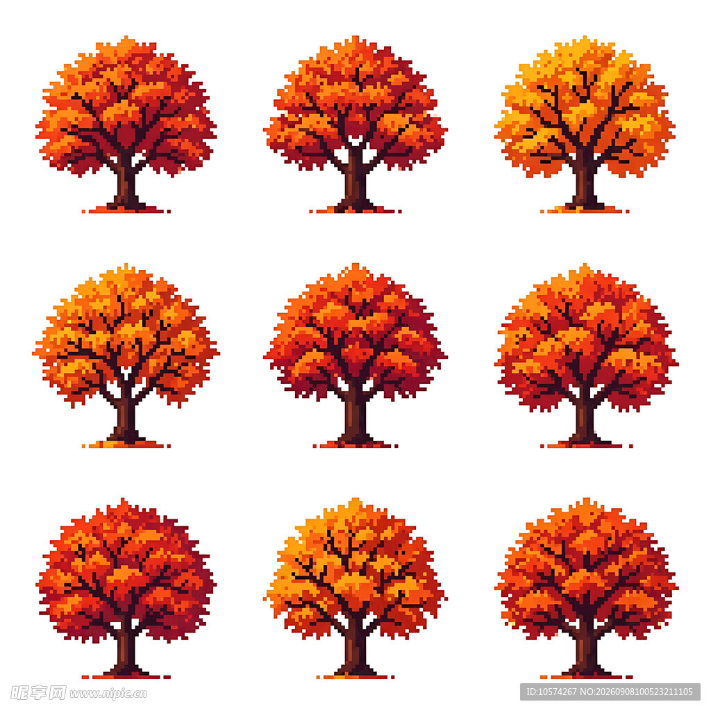 秋季红叶树木插画集合
