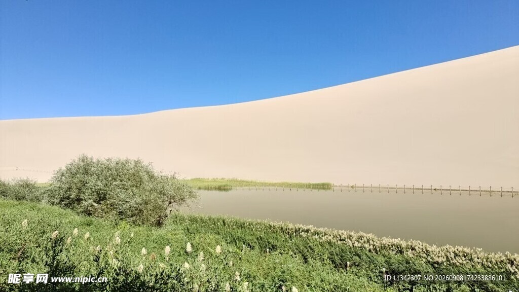 沙漠边缘的绿意生机