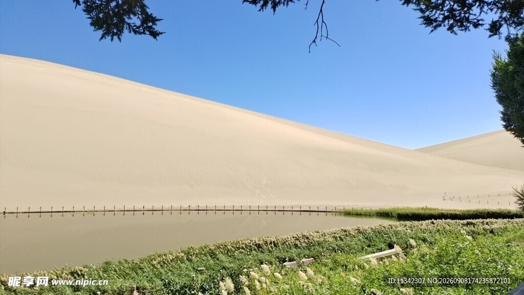 沙漠边缘的绿植景观