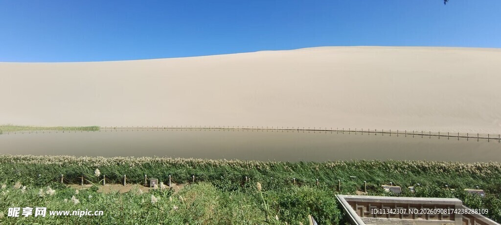 沙漠边缘的绿意景观