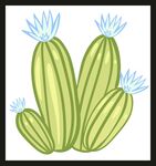 手绘可爱仙人掌植物插画
