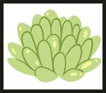 可爱绿色多肉植物插画
