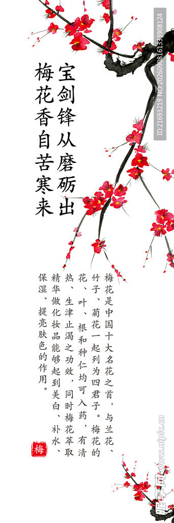 梅兰竹菊