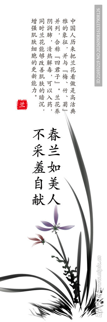 兰花挂画