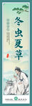 冬虫夏草挂画