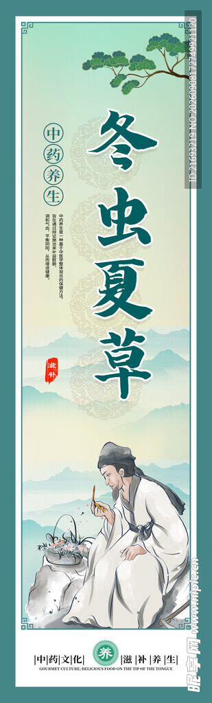 冬虫夏草挂画