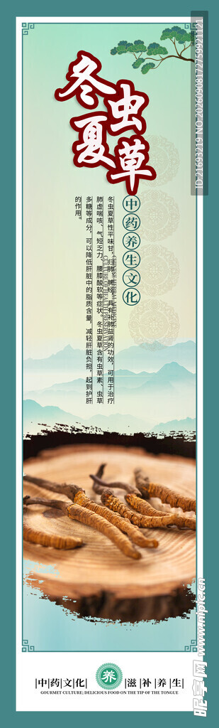  冬虫夏草挂画