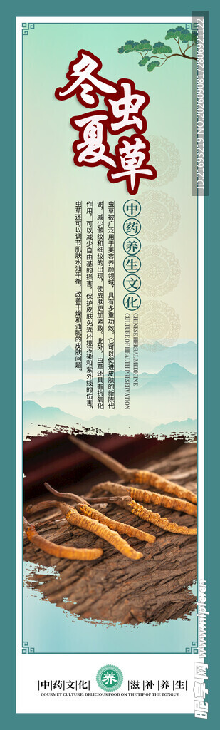 冬虫夏草挂图 