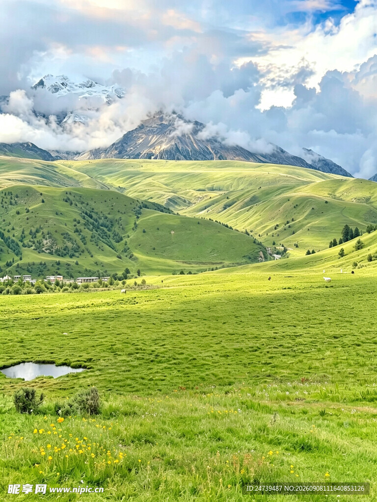 广袤绿野间的壮丽山景