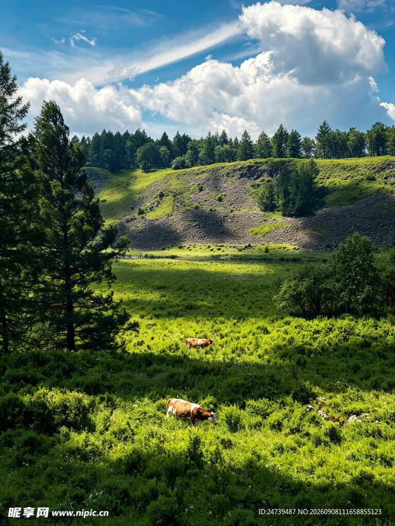 绿野山林间的自然美景